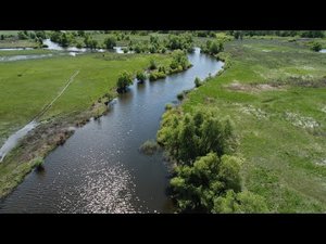 Старое русло реки Хопёр. Вид с квадрокоптера DJI Mini 2