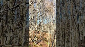 Полный обзор. Жми. Посёлок  Горный час до моря. Туапсинский район. Участок в продаже. 18 соток