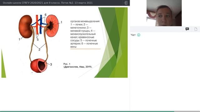 Онлайн-школа СПбГУ 2020/2021. 9 класс. Биология. 13 марта 2021 смотреть онлайн