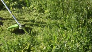 Аккумуляторный триммер Greenworks GD60BCB: обзор и тест на участке