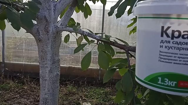 Очень стойкая краска для сада!Держится больше года Проверено!!!! смотреть онлайн