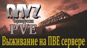 DAYZ | PVE | ВЫЖИВАНИЕ НА ПВЕ СЕРВЕРЕ | НА СКОЛЬКО АТМОСФЕРНО | DayZ Chernarus