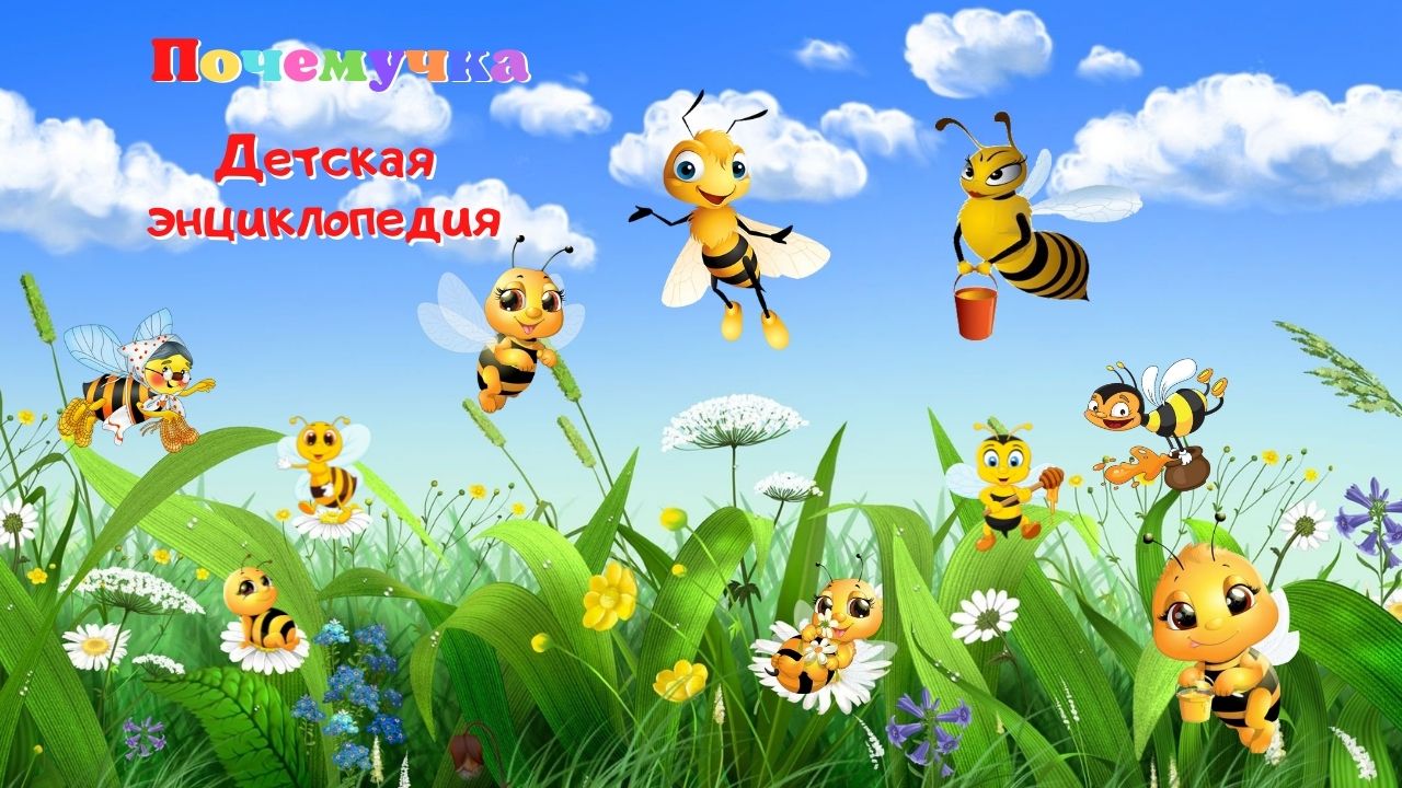 0+ Чем удивительны пчелы? Почемучка. Детская энциклопедия.