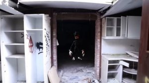 Siren Head VS Cartoon Cat VS Bell Head VS Cartoon Dog VS Traffic Light Head