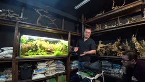 Лекция Дмитрия Паршина - Про водоросли и не только. Часть 1.