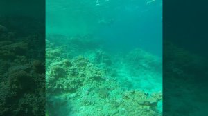 Олюська аквалангист!!! =)