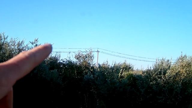 Сбор пивных банок\\Семейка ёжиков в сарае. смотреть онлайн