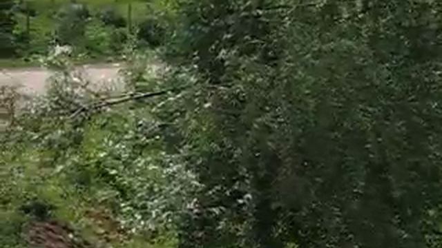 Табынское смотреть онлайн