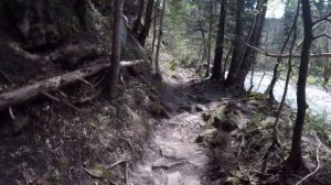 Шварцвальд - пешком по природному шедевру Германии