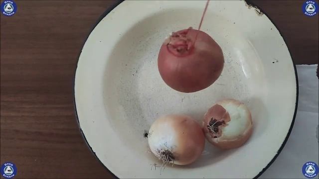 Защита Дома При Помощи Луковицы ?? "Защита Дома"-Стариный Ритуал ?? Эзотерика-Влад Владов ♠