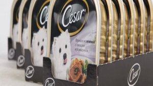 Корм Цезарь для собак в пакетиках: обзор
