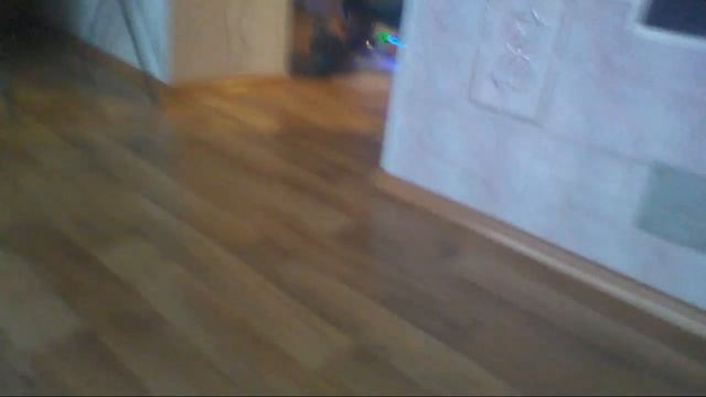 Гироскутер #2