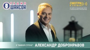 Александр Добронравов. Концерт «Живая струна» на радио Шансон | К 100-летию Михаила Танича, 2023