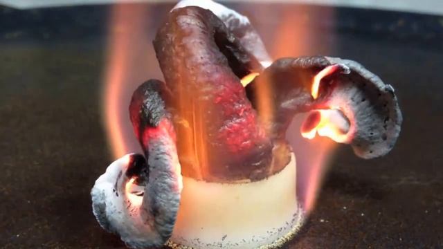 Фараонова змея смотреть онлайн