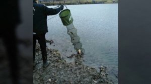 04.11.18. Рыбалка на водоемах в Кокино