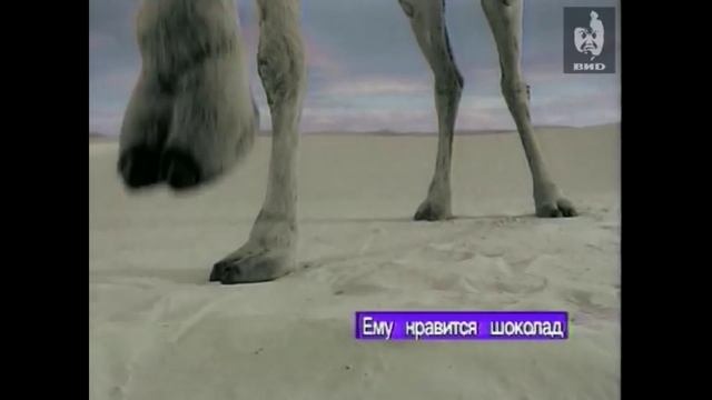 Picnic 1995.mp4 смотреть онлайн