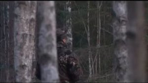 Охота с фотоаппаратом. Тетера и глухарь на току