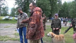 Шарьинская выставка охотничьих собак 2014г . Ринги - русских гончих