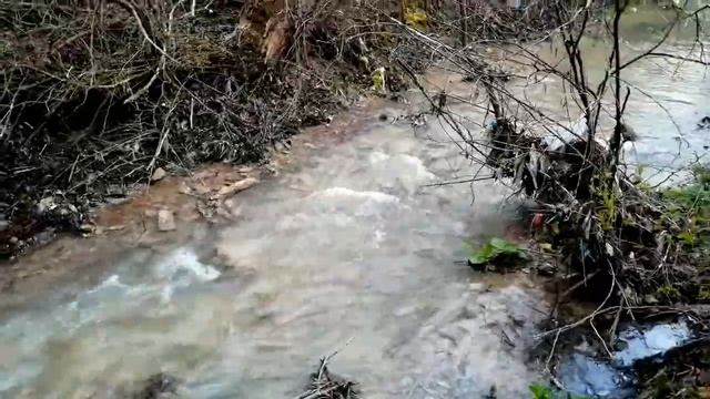 Река Маскага СТАНИЦА РАЕВСКАЯ КРАСНОДАРСКИЙ КРАЙ, РЕЧКА АНАПКА, МОИ ПЕРВЫЕ ЭКСКУРСИИ ПО РАЕВСКОЙ.