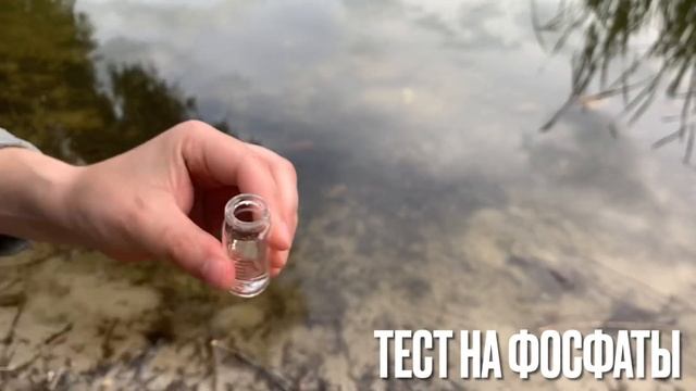 ИСТОРИЯ О ТОМ, КАК МЫ ДЕЛАЛИ ТЕСТЫ ВОДЫ В ОЗЕРЕ И ЗАПУСКАЛИ РАСТЕНИЕ-ФИЛЬТР ЭЙХОРНИЯ ВОДНЫЙ ГИАЦИНТ смотреть онлайн