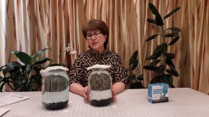 шунгитовая вода, как приготовить и где применяется