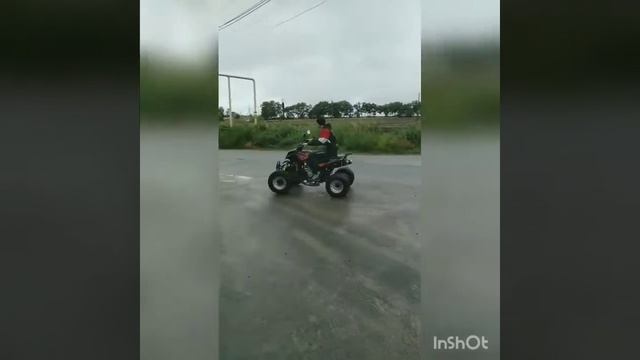 Квадроцикл Bashan 250 смотреть онлайн