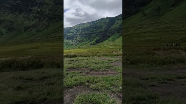 keindahan Savana Bromo