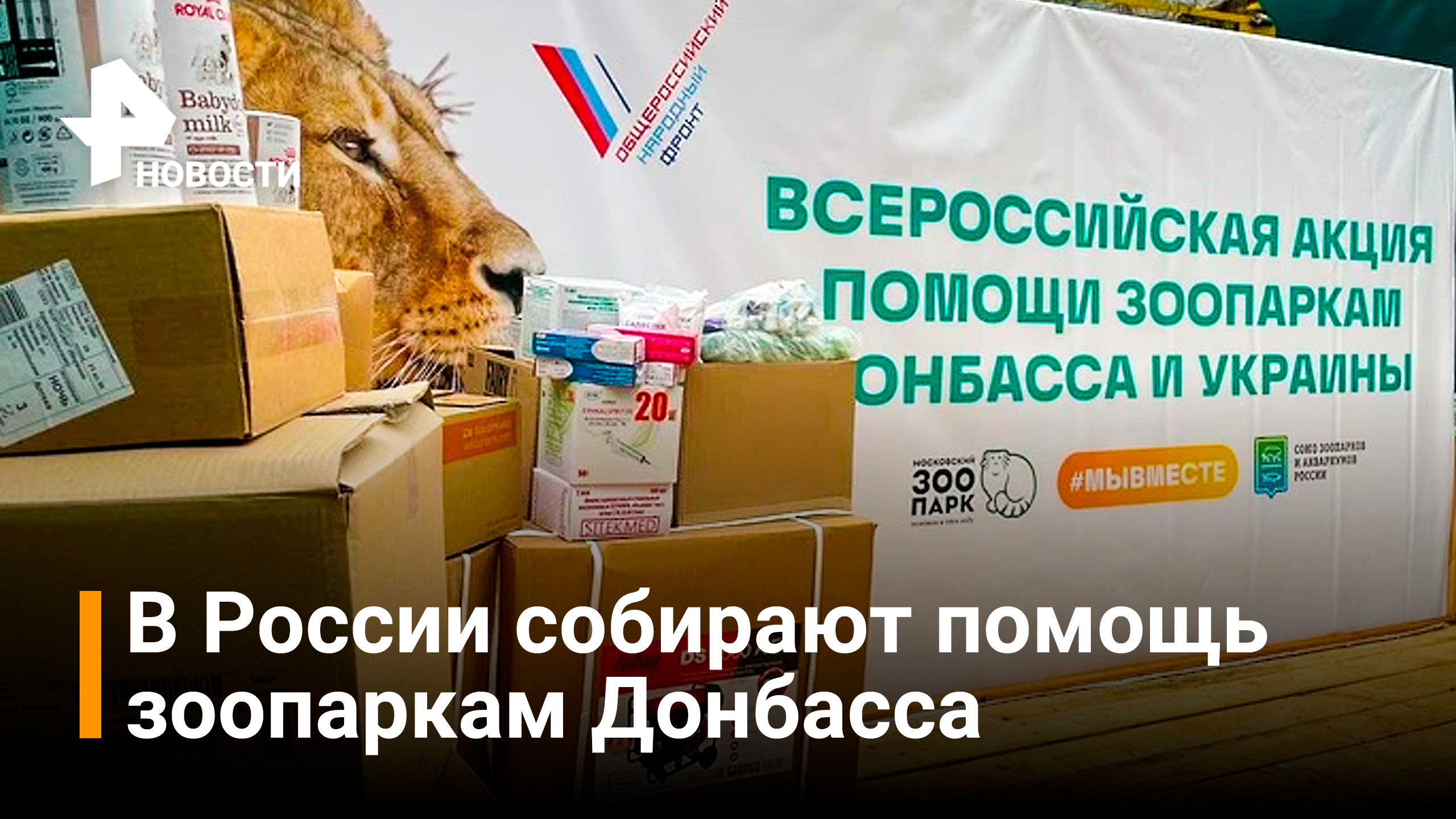 В России запустили акцию по сбору помощи зоопаркам Донбасса / РЕН Новости