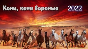 Тузов Игорь - Кони, кони вороные 2022