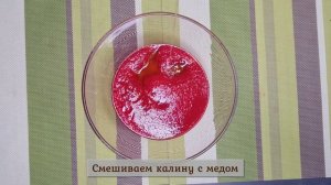 Калина с медом - 3 рецепта на зиму без варки | Как заготовить калину с медом - пюре и ягоды целиком