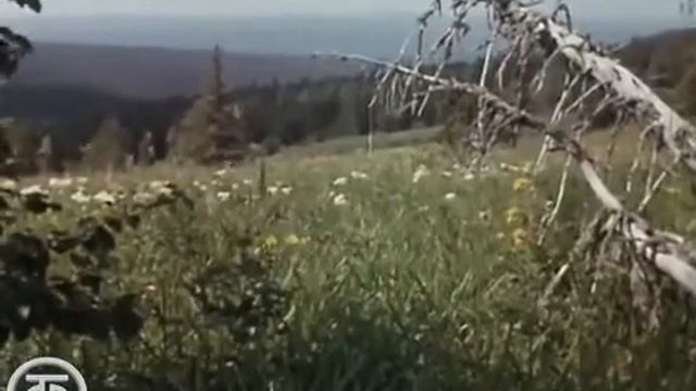 Маньпупунёр-Плато малых Идолов- Легенда.