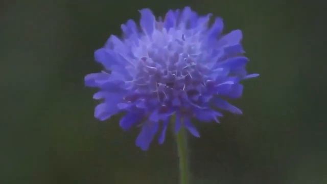 МОЛИТВА Святые отцы — мирянам смотреть онлайн