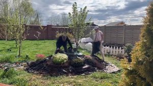 Альпинарий своими руками #альпийскаягорка