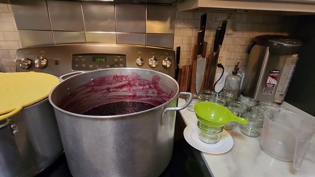 ЛЮБИМОЕ ВАРЕНЬЕ МУЖА/ ЧЁРНАЯ СМОРОДИНА/ США/ смотреть онлайн