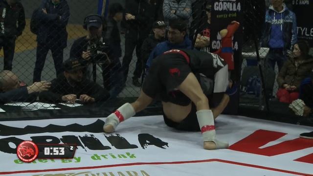 Наби Еламан- Нурбек Ербол.Предварительные поединки ЧРК по ММА. Весовая категория до 61,1 кг смотреть онлайн