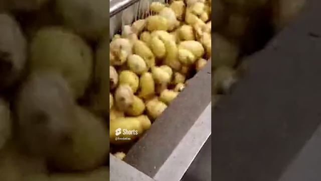 Щёточная мойка для овощей Foodatlas FA 60