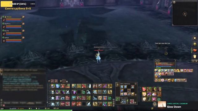 Lineage 2. Спойлер 113. Мой обычный день. Инсты в соло. Видео гайд для ножа) смотреть онлайн