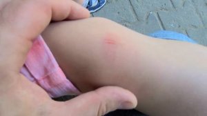 Vlog:Сходили в поликлинику/Собираем документы в детский сад/Гуляем/Ждём гостей/Манго выжил