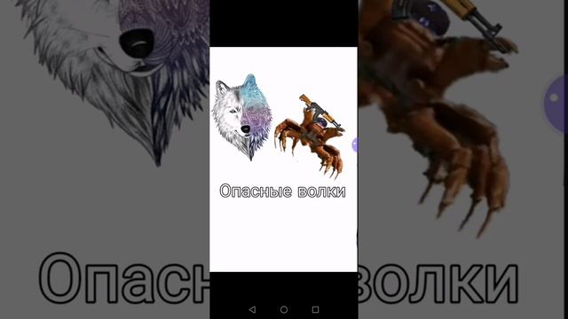 Опасные волки. Лолипоп смотреть онлайн