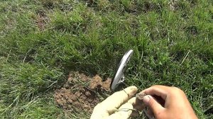 РЕАЛЬНЫЙ КОП с металлоискателем XP ORX / Кладоискатель Белый Копатель