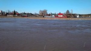 Разлив Протвы,Высокиничи.mp4