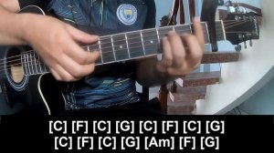 How To Play Guitar The Ballad of Lucy Gray Baird By Rachel Zegler Version 1