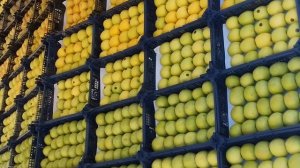 Оптовый рынок Евразия затон Уфа анвар Чон