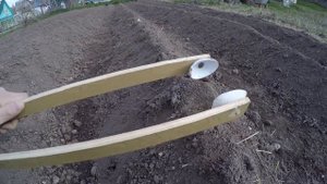 Картофельный пинцет для посадки по Митлайдеру. Сорт Американка. Спина не будет страдать от наклонов