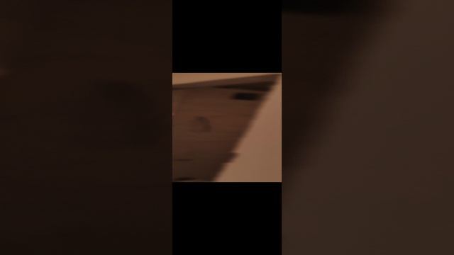 1000649175.mp4