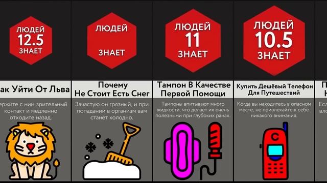 Правила выживания смотреть онлайн