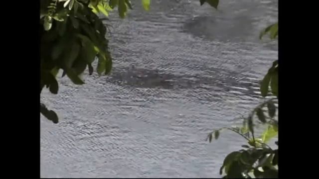 Вся суть самопознания в невинности Сознания смотреть онлайн