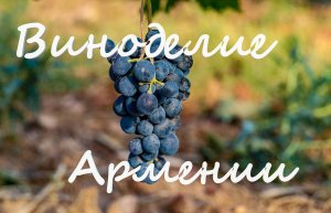 Как рождается вино? | Путешествие по винодельням Армении