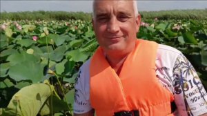 Съездили на экскурсию в Долину ЛОТОСОВ и в Голубицкую на Азовское море. ВЛОГ #анапа