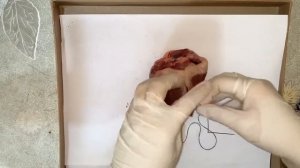 Шов по петрову